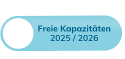 Winterdienst Status Kapazitäten